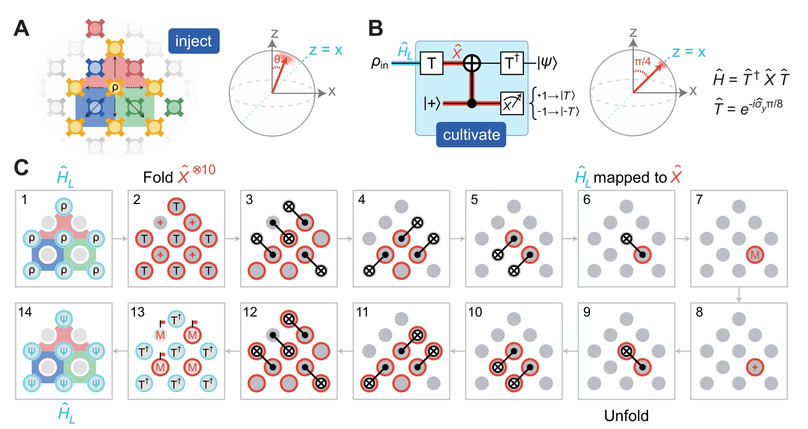 Figure 1 of the paper. Panel A shows the small colour-code patch on the chip with an inject label and a Bloch sphere with an arrow near the z equals x line. Panel B shows the cultivation circuit: a T gate, a controlled operation with a helper qubit prepared in plus, and a measurement that keeps the state only on a plus one result. Panel C shows fourteen small frames that fold the logical measurement down onto one qubit and then unfold it again.