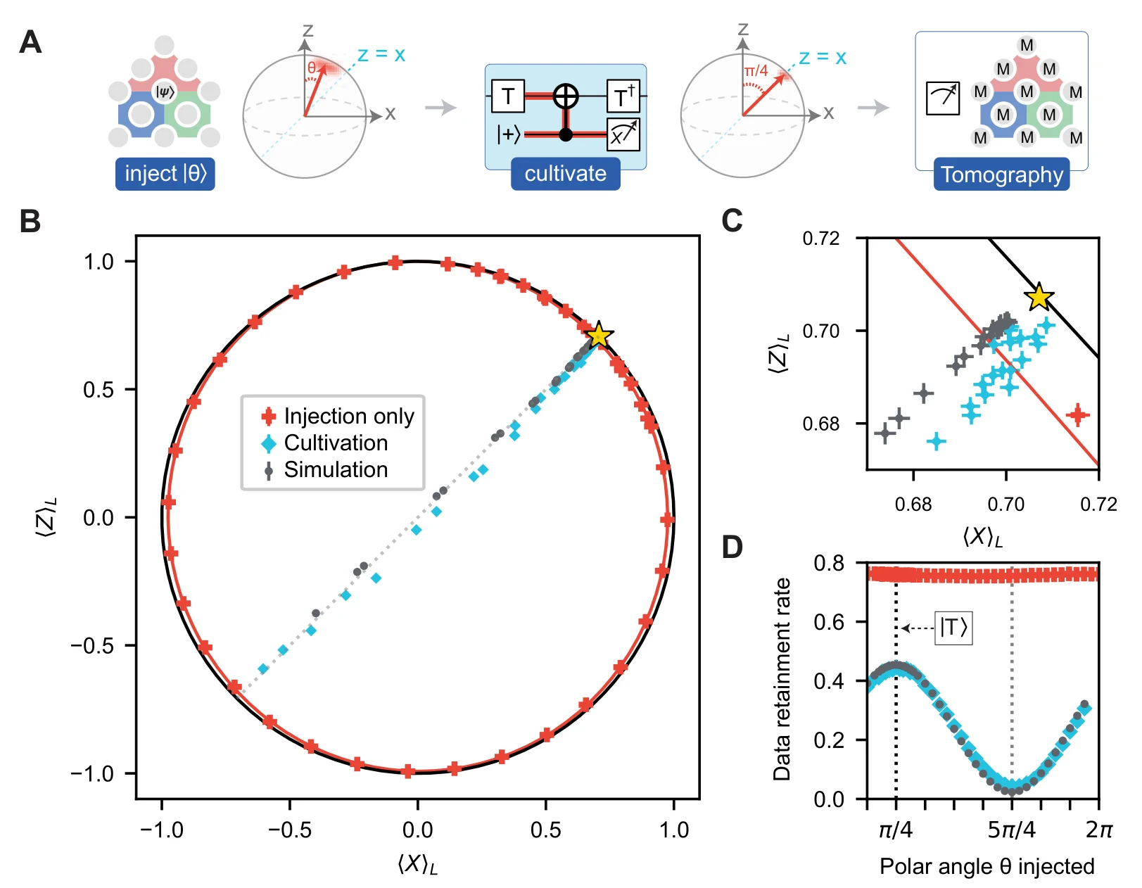 Figure 2 of the paper. Panel B plots the measured logical state on a circle: red crosses for injection only sit on the circle edge, while cyan diamonds for cultivation line up along a diagonal pointing at a yellow star, the magic state. Panel C zooms in on the star. Panel D plots the fraction of data retained against the injected angle: about 0.76 for injection, and a wave peaking near 0.45 at the T angle for cultivation.